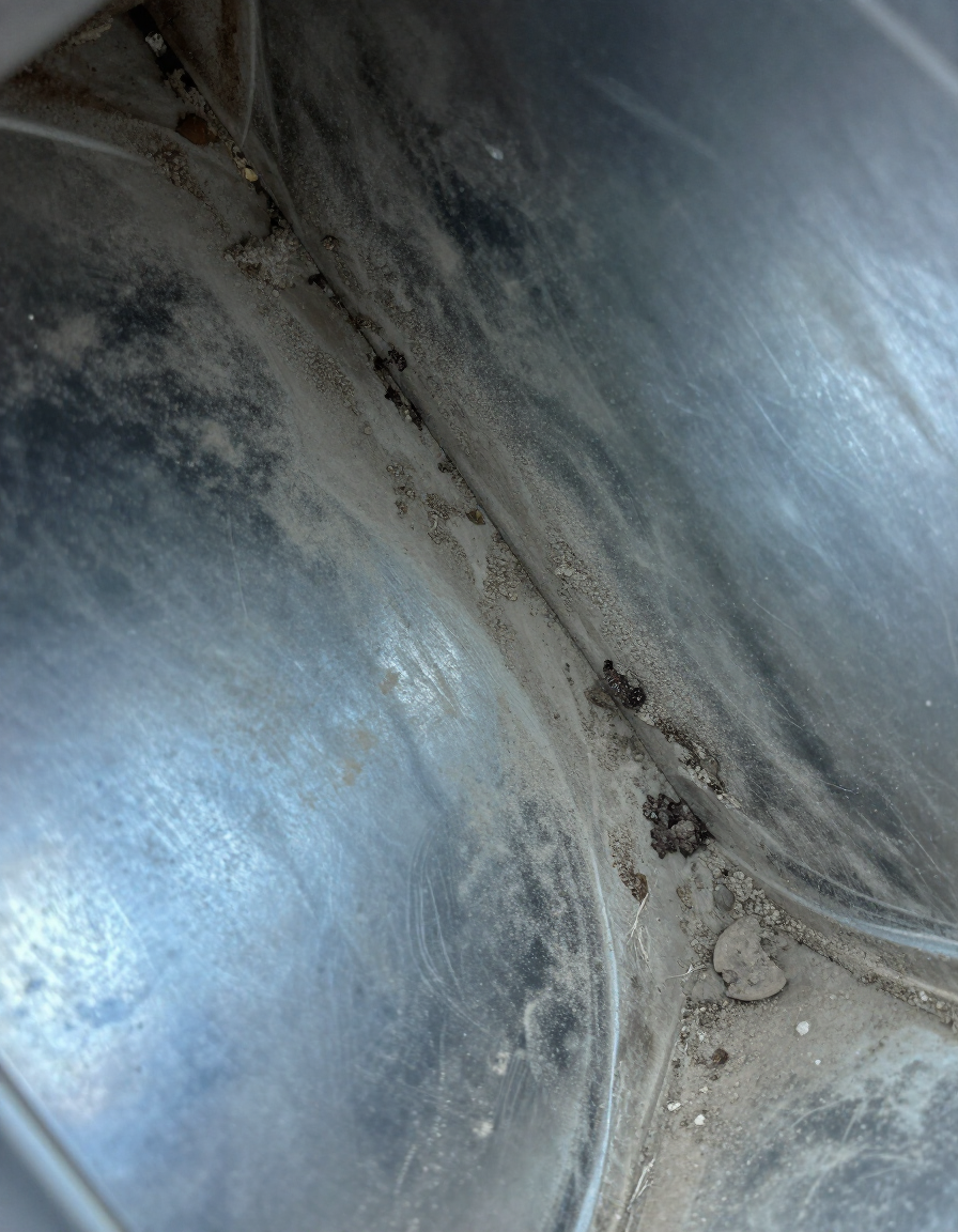 Dust and debris inside a dirty air duct