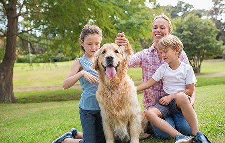 Mobile Vet Waterbury Ct At Home Veterinary Care Llc