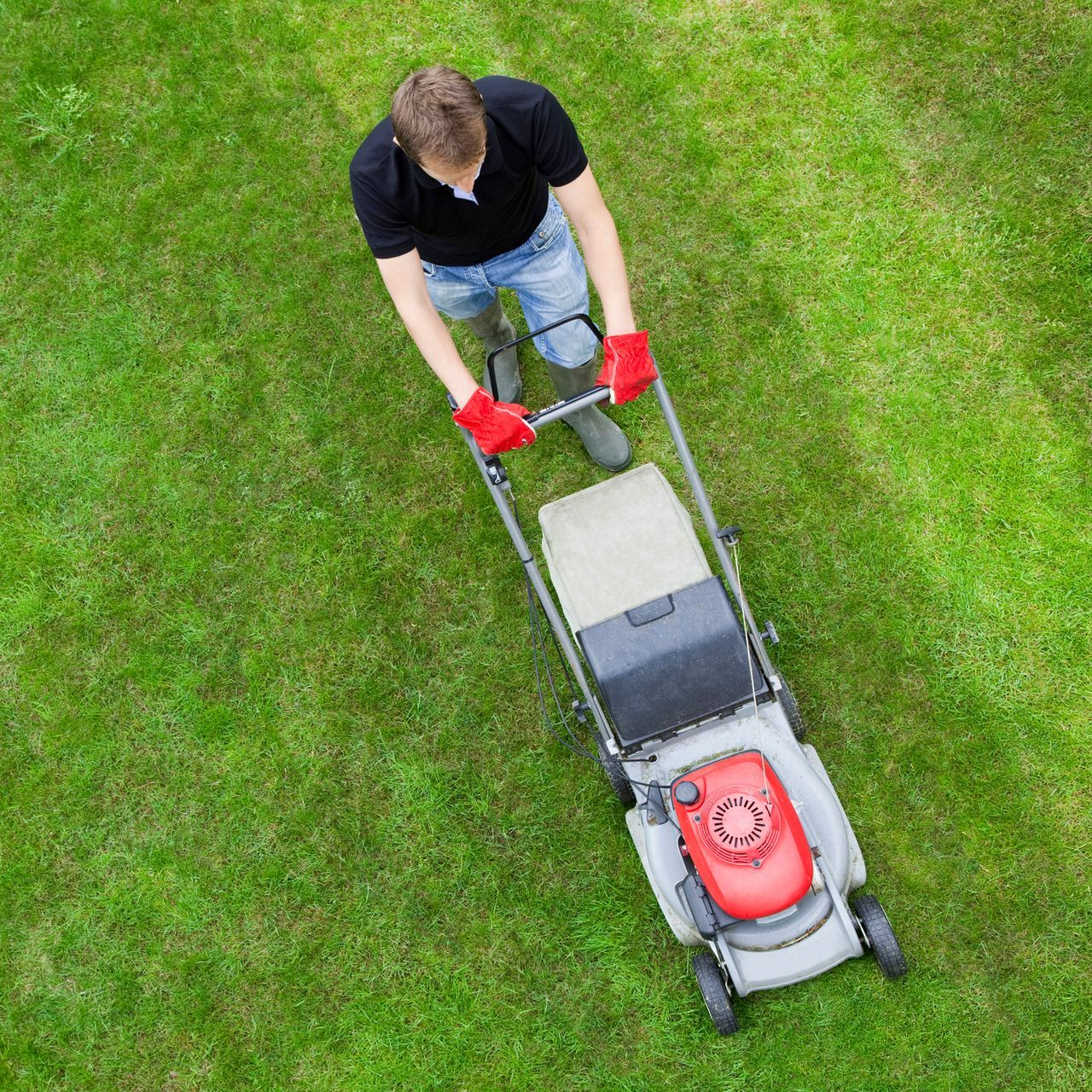 Full-Service Plan | Austin, TX | Fresh Green Full-Service Plan | Austin, TX | Fresh Green