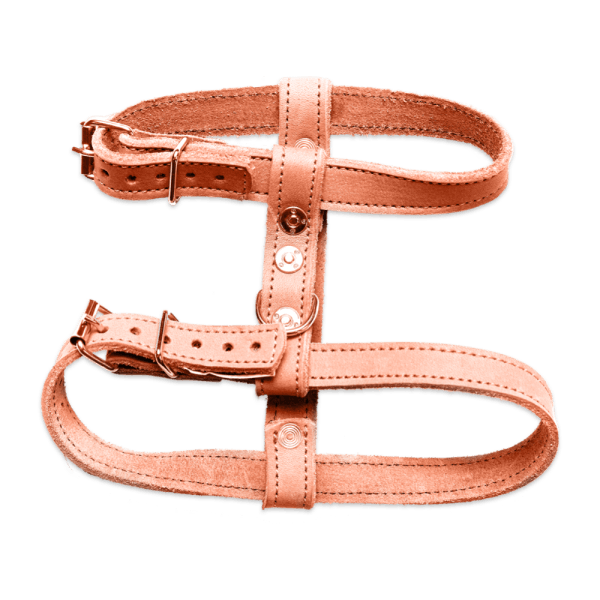 Orange Harness