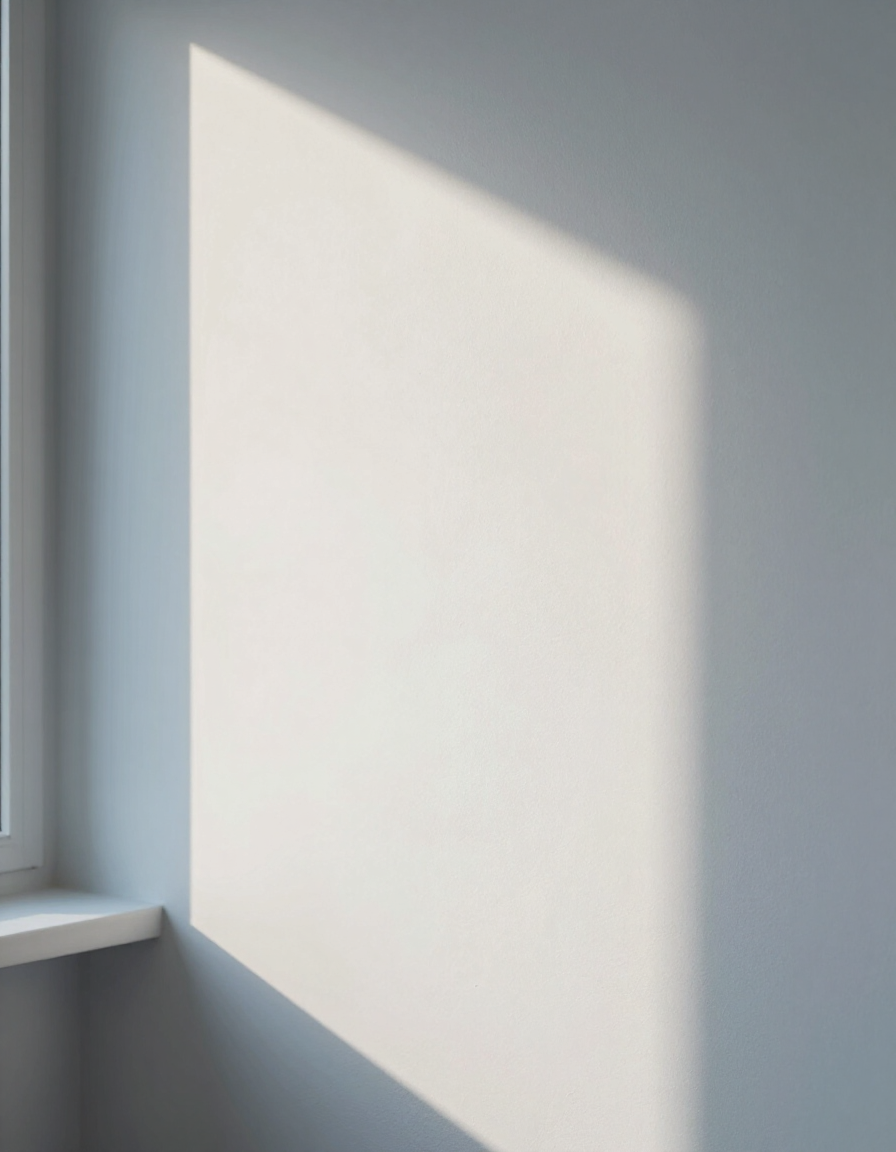 Morning sunlight casting a soft shadow gradient across a matte plaster wall