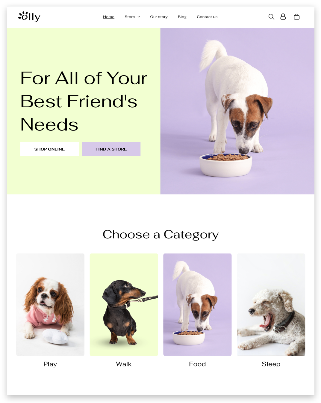 Dog Store Website builder Dog Store responsive template